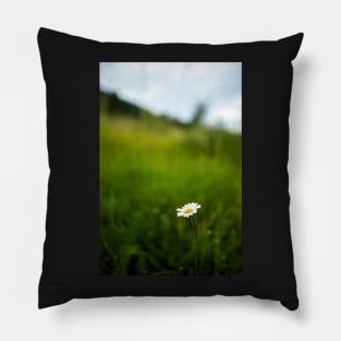 Mountain daisy flower Pillow