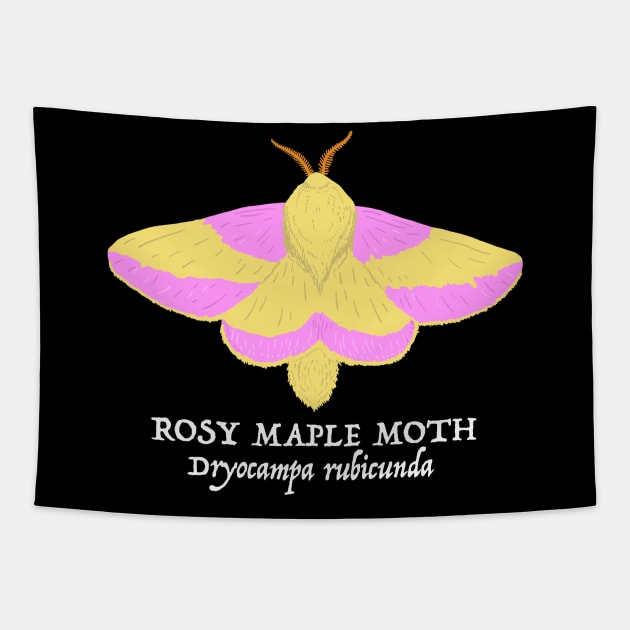 Rosy Maple Moth (Dryocampa rubicunda) Tapestry by SNK Kreatures