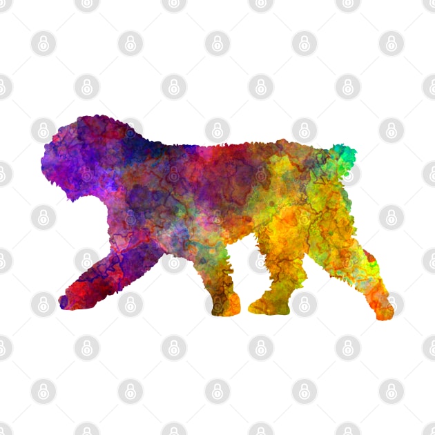 Spanish Water Dog in watercolor by PaulrommerArt