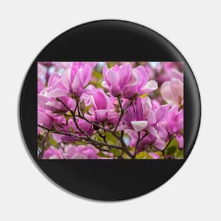 Magnolia Pin