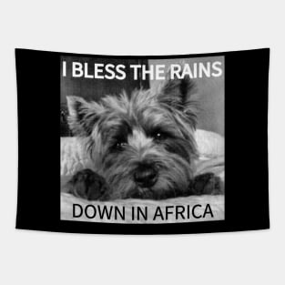 TOTO Tapestry