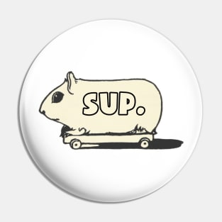 Sup gerbil on a skateboard text Pin