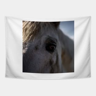 White Horse Tapestry