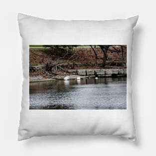 Swans and Snow Goose Pillow