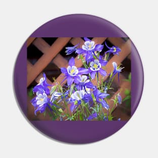 Colorado Blue Columbine Painterly Pin