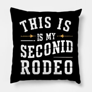 Second-Rodeo Pillow