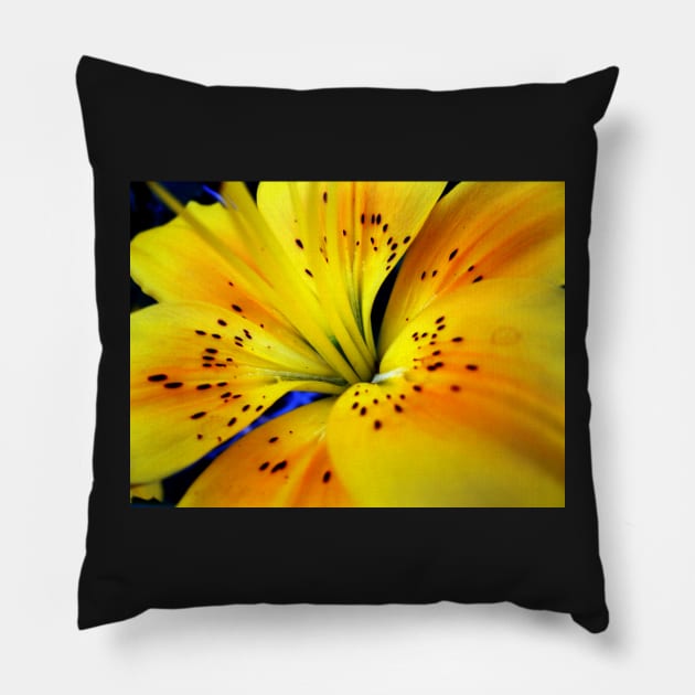 Lily Pillow by Koon