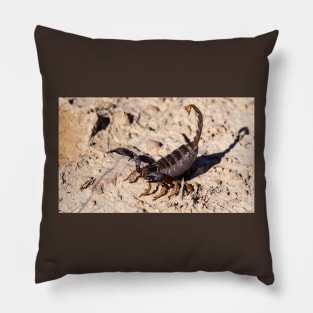 Scorpion. Pillow