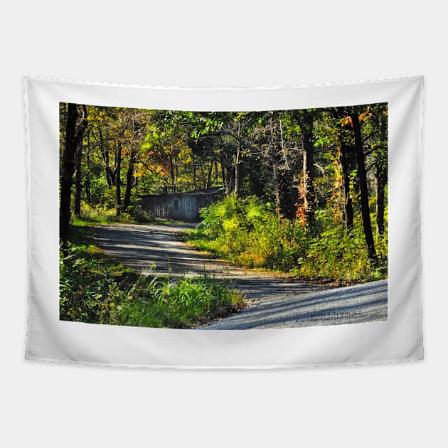 Winding Roads Tapestry by michaelasamples