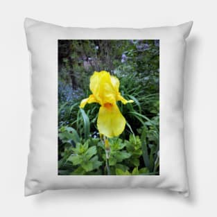 lily in yellow Pillow