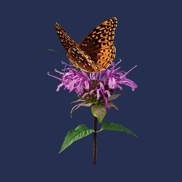 Bee Balm - Fritillary on Lavender Bee Balm by SusanSavad