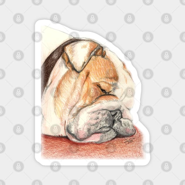 English bulldog Alfie Magnet by Pendientera