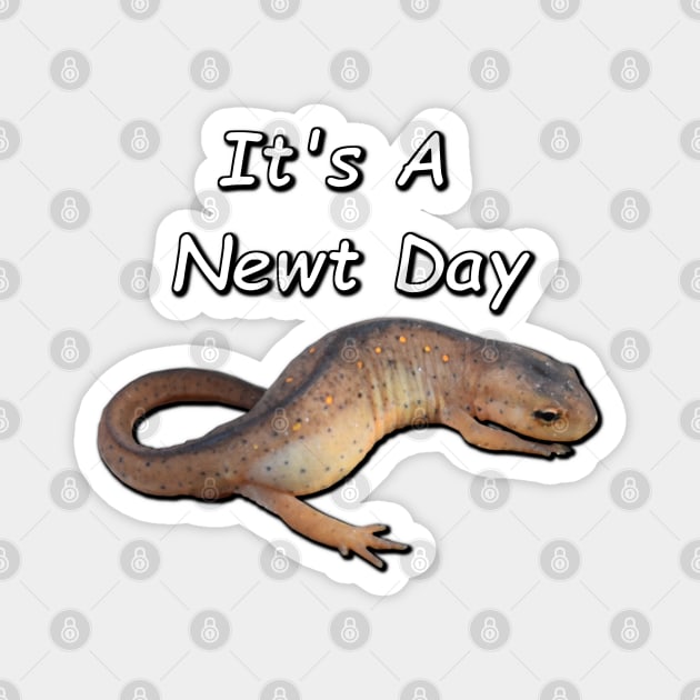 "It's A Newt Day" Central Newt Magnet by Paul Prints