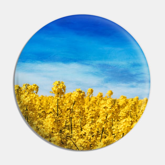 Yellow and Blue - Canola Field and Sky Pin by DyrkWyst