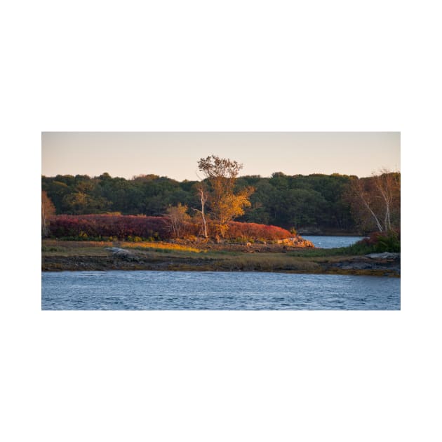 Island on the Piscataqua by RichardGibb