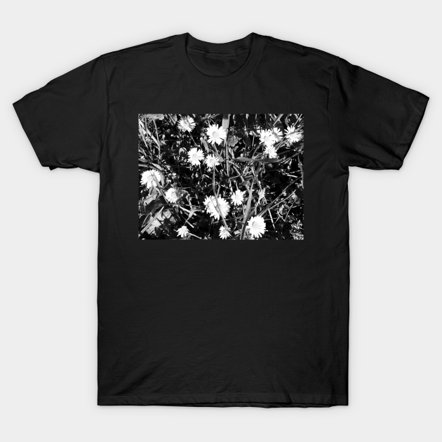 Meadow Daisies Grass Black and white - Daisies - T-Shirt