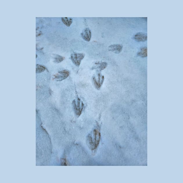 PENGUIN TRACKS THROUGH THE SNOW by NATURE WILD