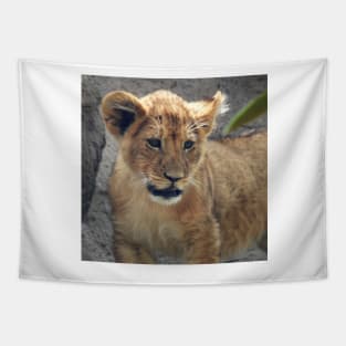 Lion Cub Tapestry