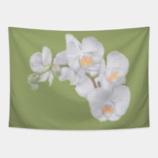 Orchid Tapestry