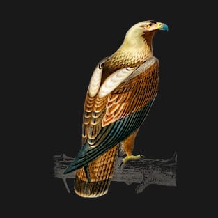 Vintage eastern imperial eagle-animalia T-Shirt