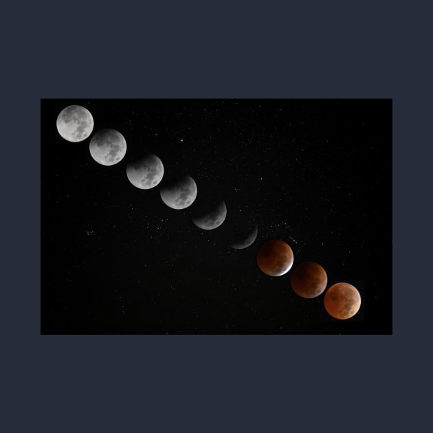 Lunar Eclipse Phases by A Thousand Words Photography