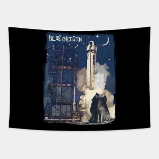 blue origin  launch Tapestry