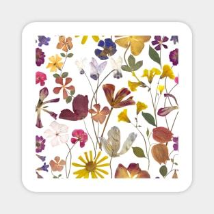 Pressed summer flowers seamless. Dry flowers composition. Romantic Spring blossom. Vibrant botanical print Magnet