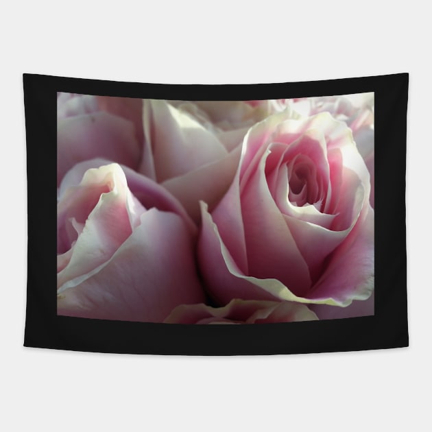 Soft Glowing Baby Pink Roses Tapestry by 1Redbublppasswo