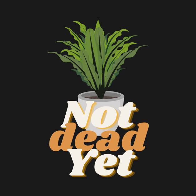 Not Dead Yet by North Eastern Roots