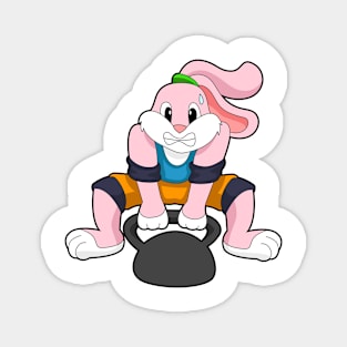 Rabbit at Fitness with Dumbbell Magnet