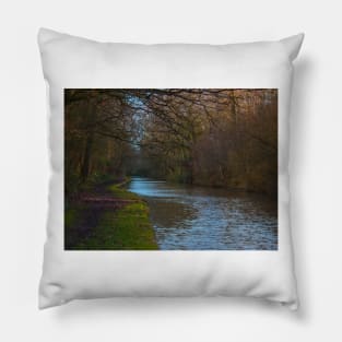 Canal under Cover in the winters sun Pillow