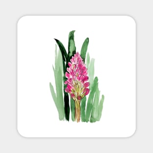 Watercolor pink hyacinth with leaves Magnet