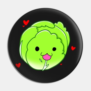 cooking companions cabbage design Pin