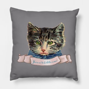 Vintage Kitty Cat Pillow