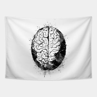 Human Brain Anatomy Black and White Tapestry