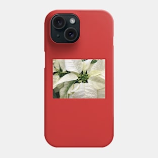 A White Peaceful Poinsettia for a Joyous Christmas Phone Case