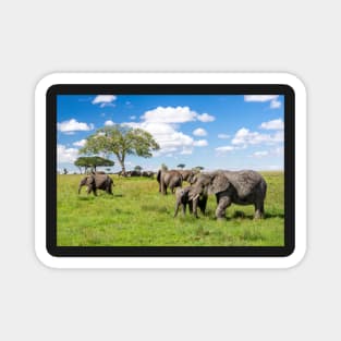 Elephant Herd In The Serengeti Landscape Magnet