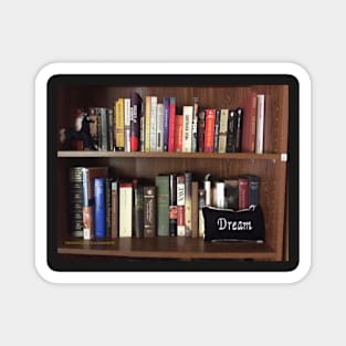 Bookshelf Dream Magnet