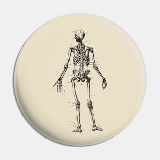 skeleton anatomy Pin