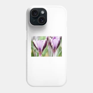 Crocus  'Spring Beauty' Phone Case