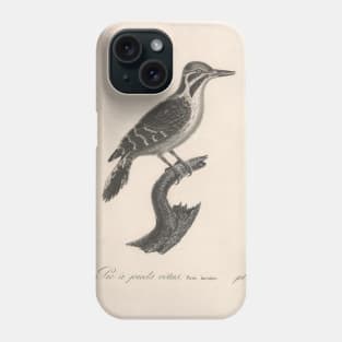 Natural history of vintage birds of North America 1 Phone Case