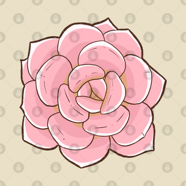 Pink succulent by Oricca