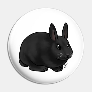 Small Mammal - Rabbit - Black Pin