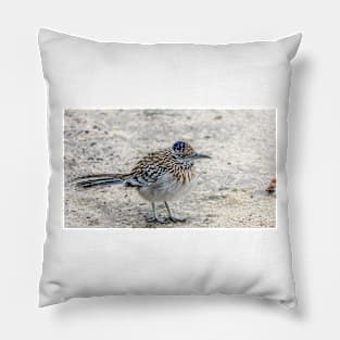 Great Roadrunner takes a Brief Pause Pillow