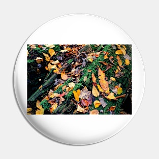 Autumn Renewal Pin