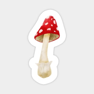 Mushroom Master Fly Agaric Magnet