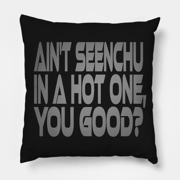 Ain't Seenchu in a Hot One, You Good? Idium Series Pillow by Village Values