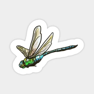 Dragonfly Magnet