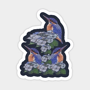 Kingfishers Magnet