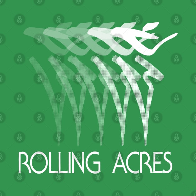 Rolling Acres Mall by Turboglyde